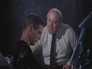 Cat On A Hot Tin Roof