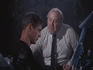 Cat On A Hot Tin Roof