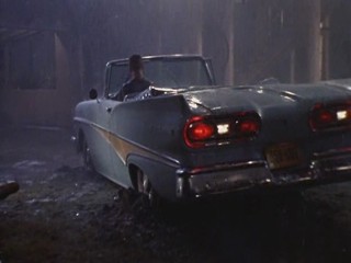 Cat On A Hot Tin Roof