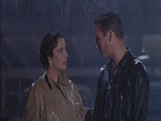 Cat On A Hot Tin Roof