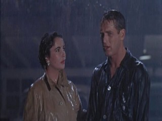 Cat On A Hot Tin Roof