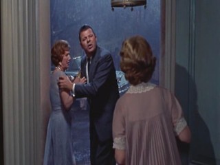 Cat On A Hot Tin Roof