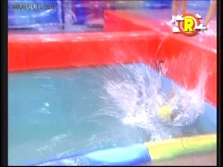 DomingÃ£o do FaustÃ£o