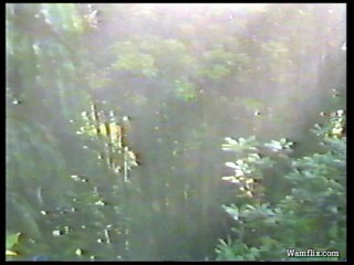 The New You Asked For It