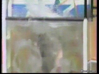 Battle of the Network Stars