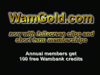 David Letterman Show - vintage wetlook clip