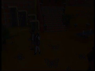 Immer wieder Sonntags