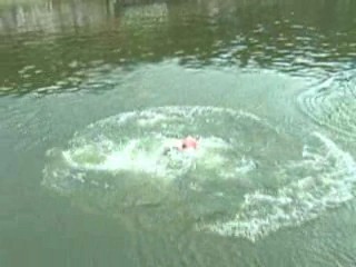 Dirndlflugtag Pentling 2008