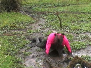 Mud bathing (TV/TG)
