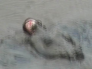 The Love Of Quicksand (TG/TV)