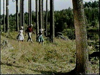 Woman falls in the creek