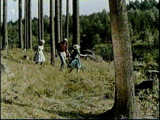 Woman falls in the creek