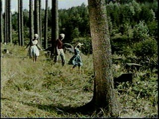 Woman falls in the creek