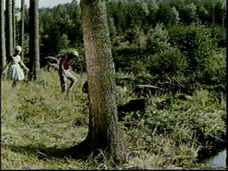 Woman falls in the creek