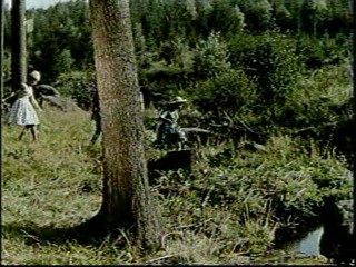 Woman falls in the creek