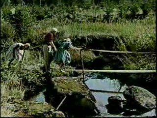 Woman falls in the creek