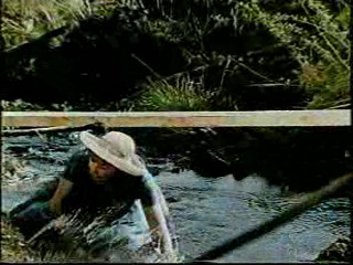 Woman falls in the creek