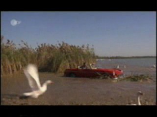 Ferien mit Piroschka