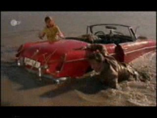 Ferien mit Piroschka