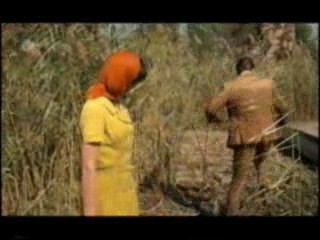 Ferien mit Piroschka