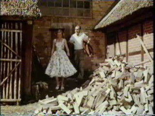 Hochzeit auf Immenhof (1958)