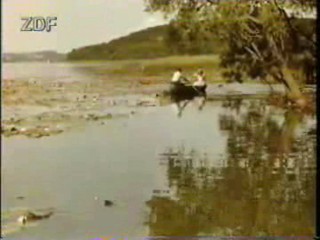 Hochzeit auf Immenhof (1958)