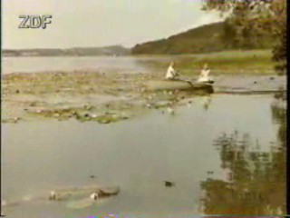 Hochzeit auf Immenhof (1958)