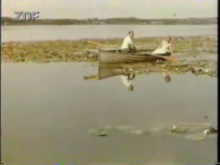 Hochzeit auf Immenhof (1958)