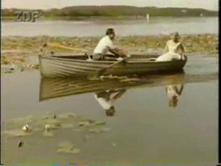 Hochzeit auf Immenhof (1958)