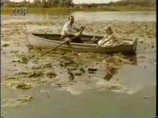 Hochzeit auf Immenhof (1958)