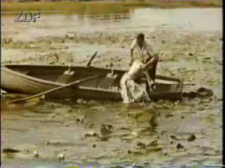 Hochzeit auf Immenhof (1958)