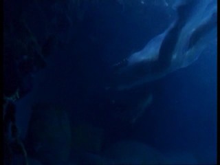 Xena from Wet Hair Lover