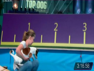 Top Dog Germany