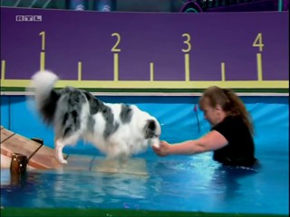 Top Dog Germany - 13.08.2021