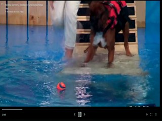 Top Dog Germany 2022