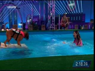 Top Dog Germany 2022