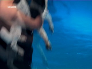 Top Dog Germany 2022