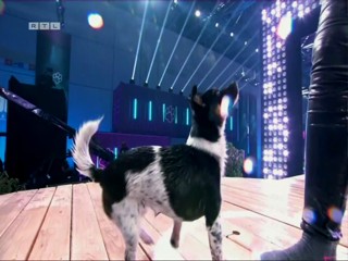 Top Dog Germany 2022