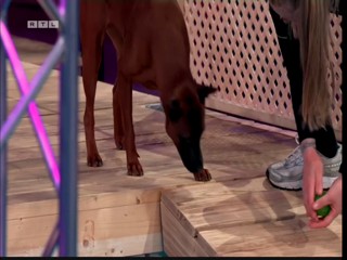 Top Dog Germany 08.07.2022 