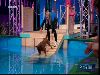 Top Dog Germany 08.07.2022 