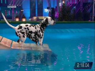 Top Dog Germany 08.07.2022