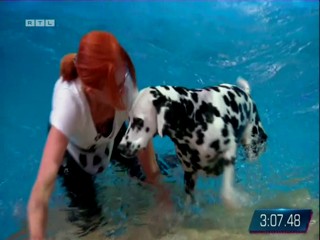 Top Dog Germany 08.07.2022