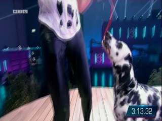 Top Dog Germany 08.07.2022