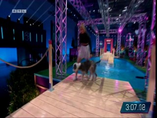 Top Dog Germany 08.07.2022