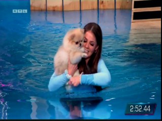 Top Dog Germany 16.07.2022