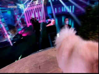 Top Dog Germany 16.07.2022