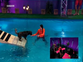 Top Dog Germany 16.07.2022