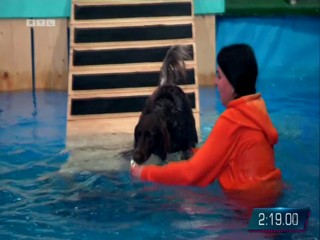 Top Dog Germany 16.07.2022