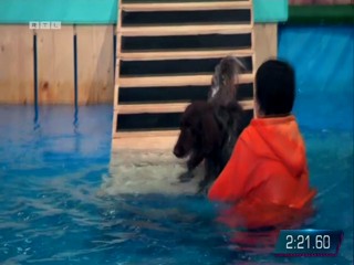 Top Dog Germany 16.07.2022