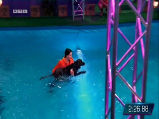 Top Dog Germany 16.07.2022